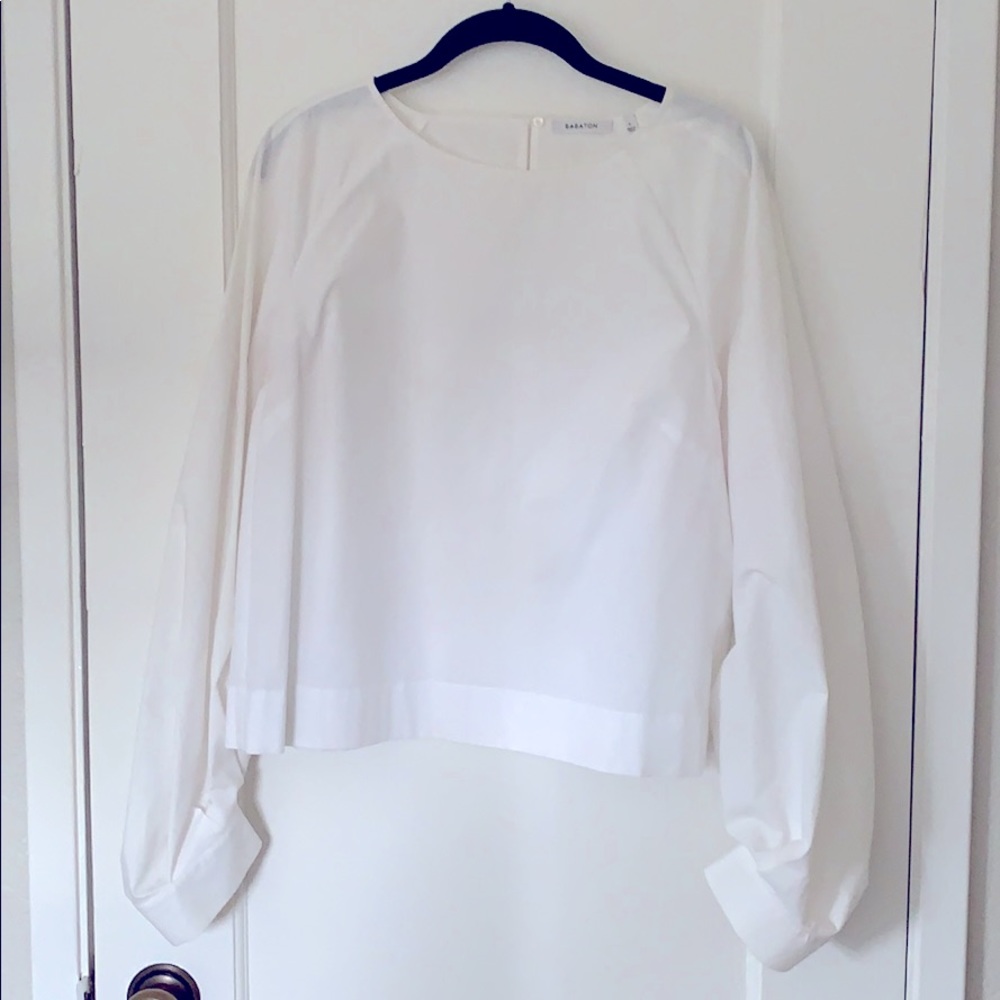 Aritzia Babaton balloon sleeve blouse